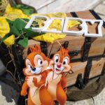 Στολισμός chip and dale