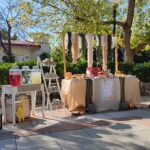 Candy Bar δεινόσαυροι