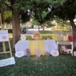 ηλιανθος_μαργαριτα candy bar
